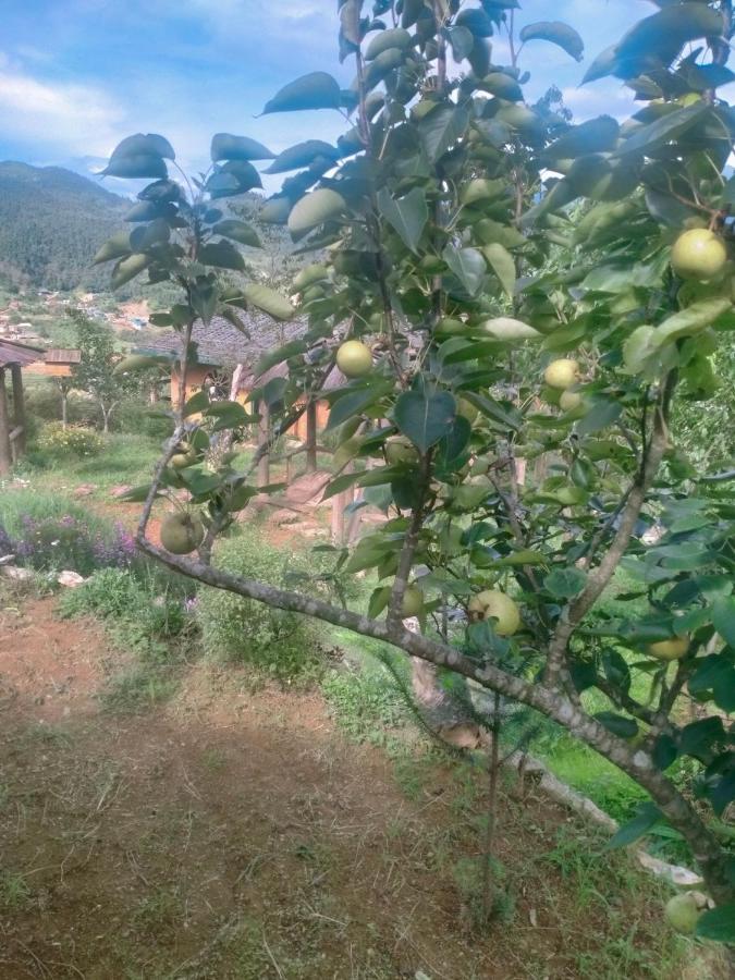H'Mong Co Tran Sapa Homestay Экстерьер фото